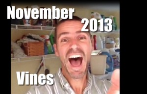 nov-vines