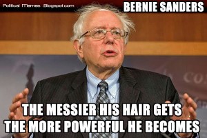 bernie-sanders-hair-meme[1]